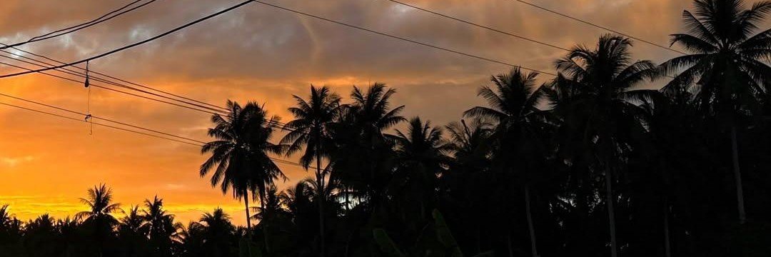 22julca1's profile banner image