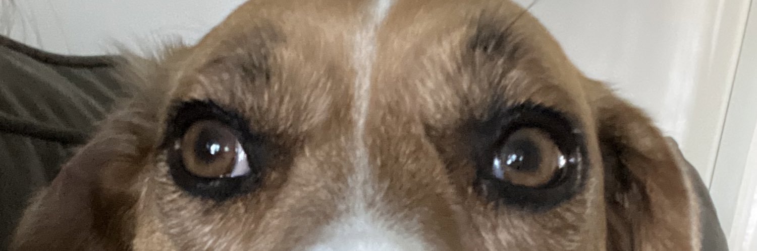 madisonrschmidt's profile banner image
