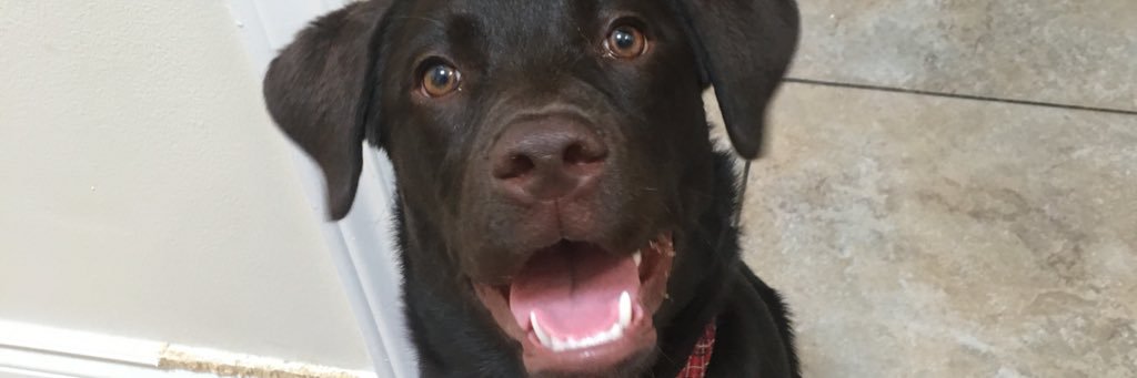 juliijulesss's profile banner image