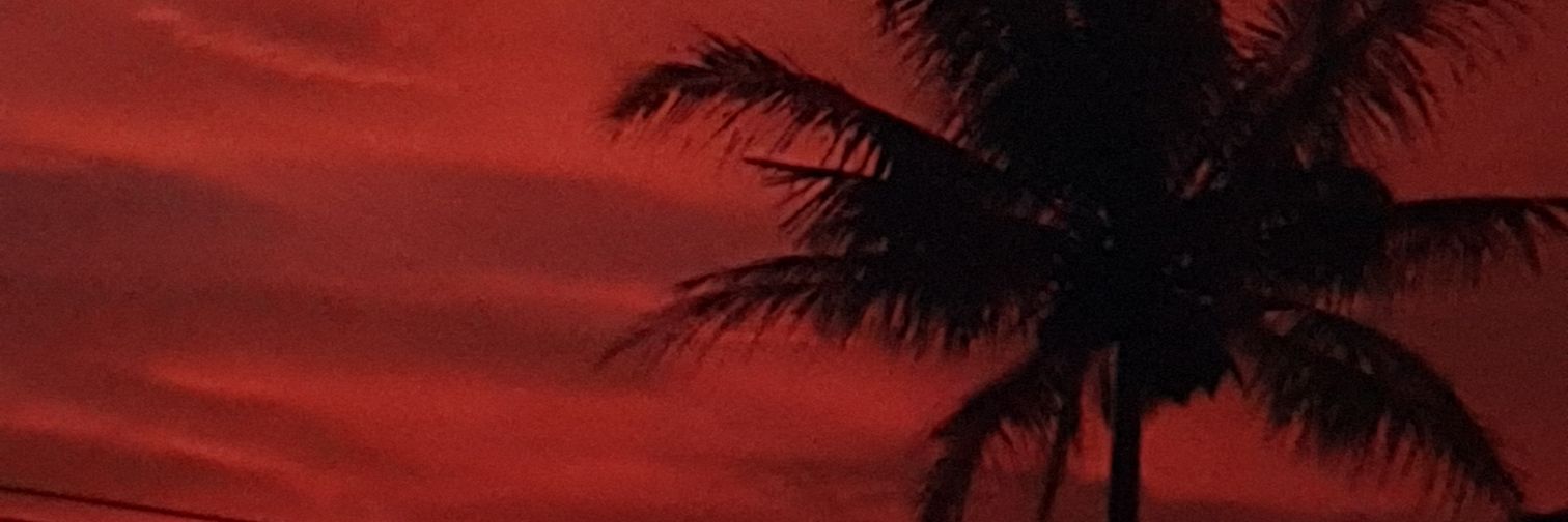 farfaridi's profile banner image