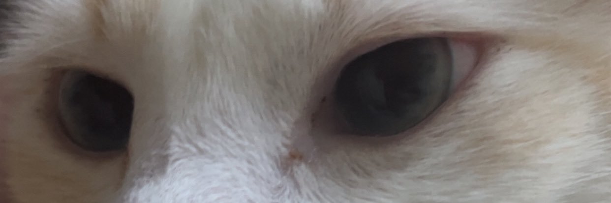 AnthonyNM69's profile banner image
