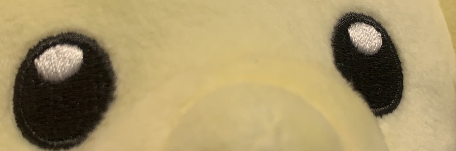 toramocchi's profile banner image