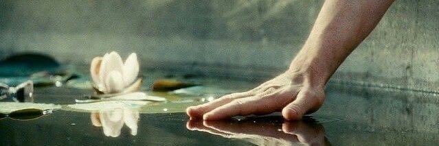 นะเพด banner