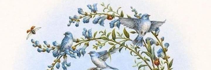AnAloNgi's profile banner image