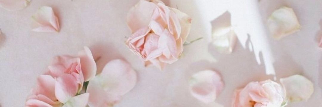 JoceMRL's profile banner image