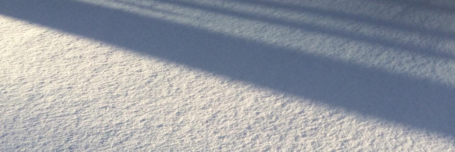 annabelleeross's profile banner image