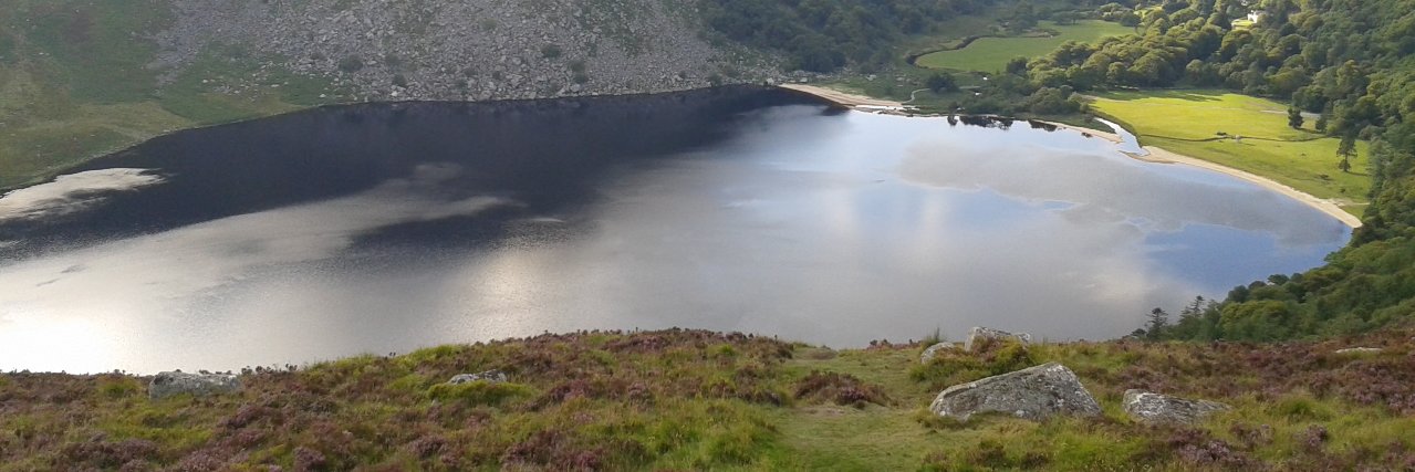 garbytwit's profile banner image