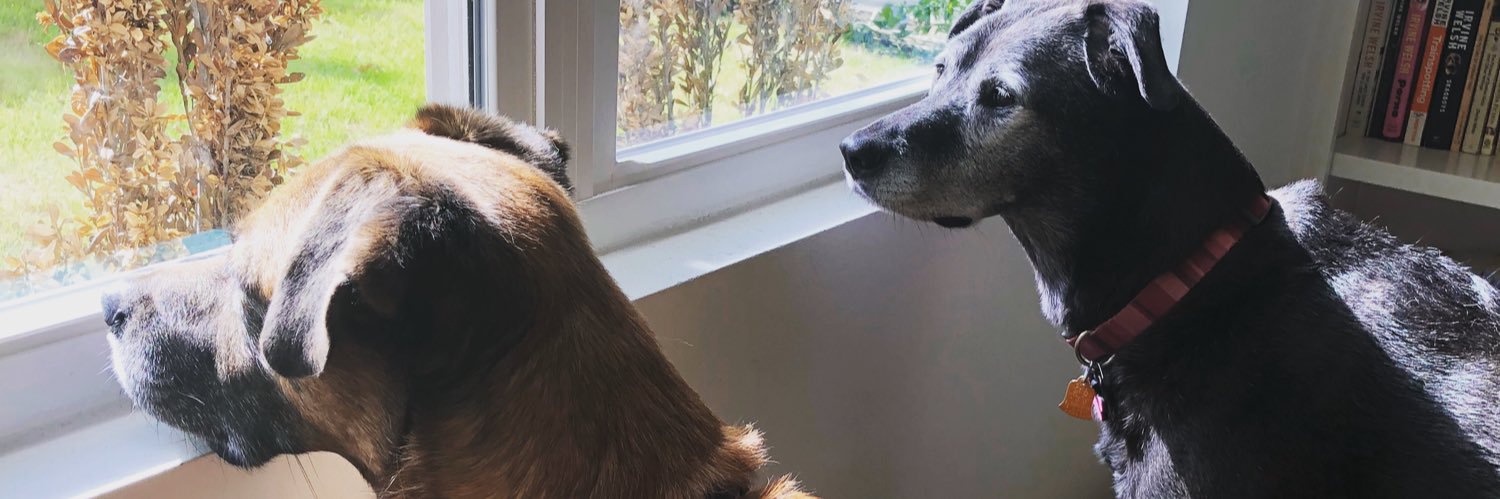 Erica Sweeney banner