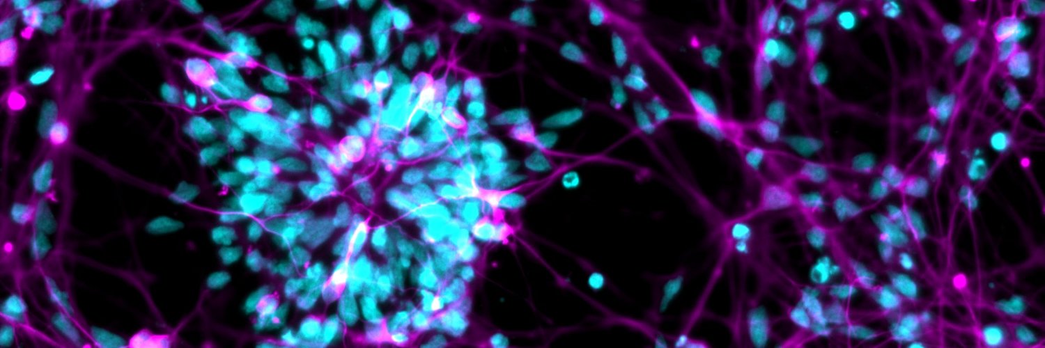 Angeliki Spathopoulou banner