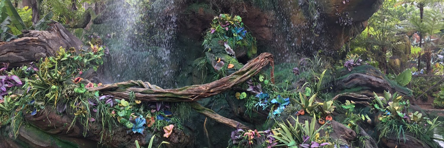 dianatimon74's profile banner image