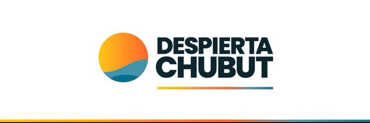 Daniel Hollmann banner