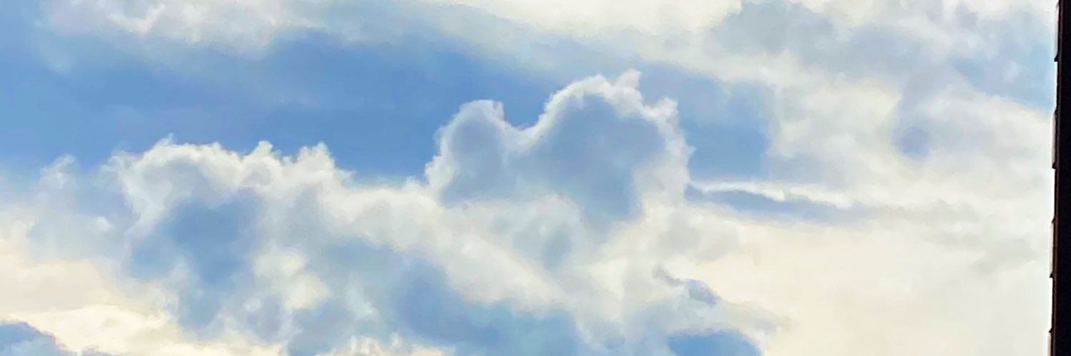 Regina Gluchowski banner