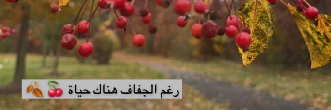 feefoo_31's profile banner image