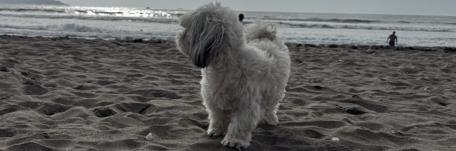 AguSanchez_'s profile banner image