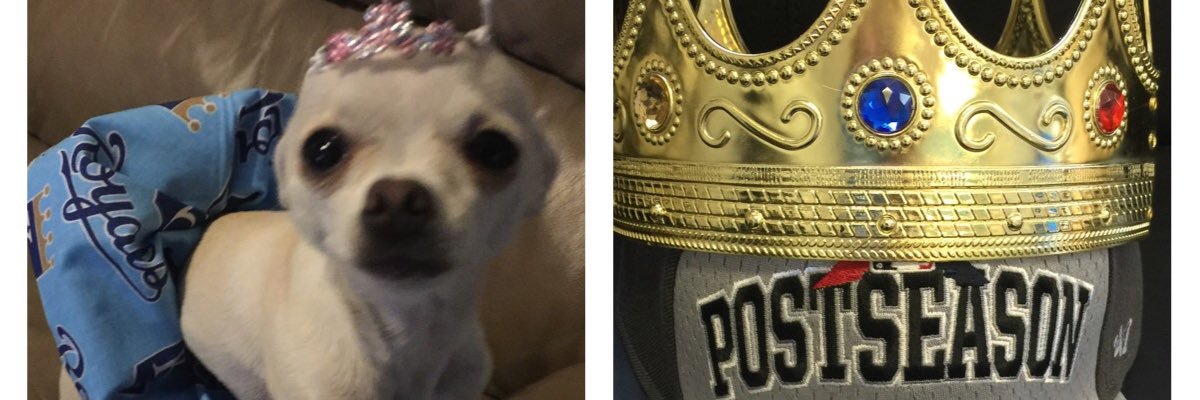 MarbleMaria's profile banner image
