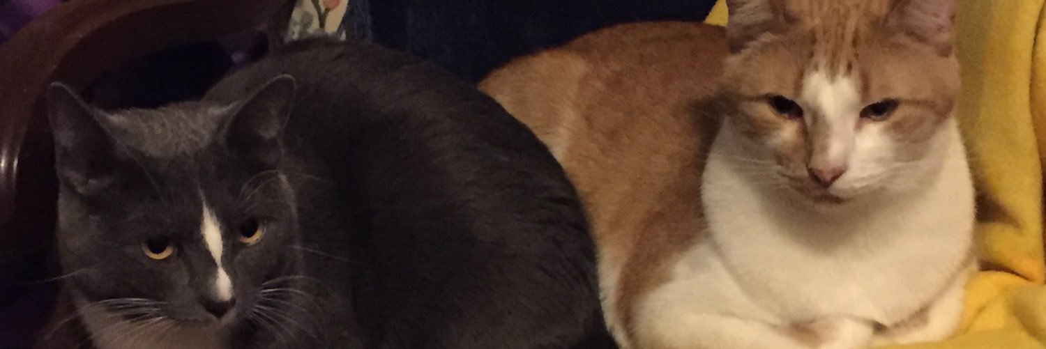 snazwaltermom's profile banner image