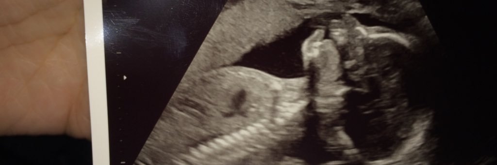 Monica_1015's profile banner image