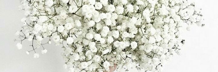 juceyon's profile banner image