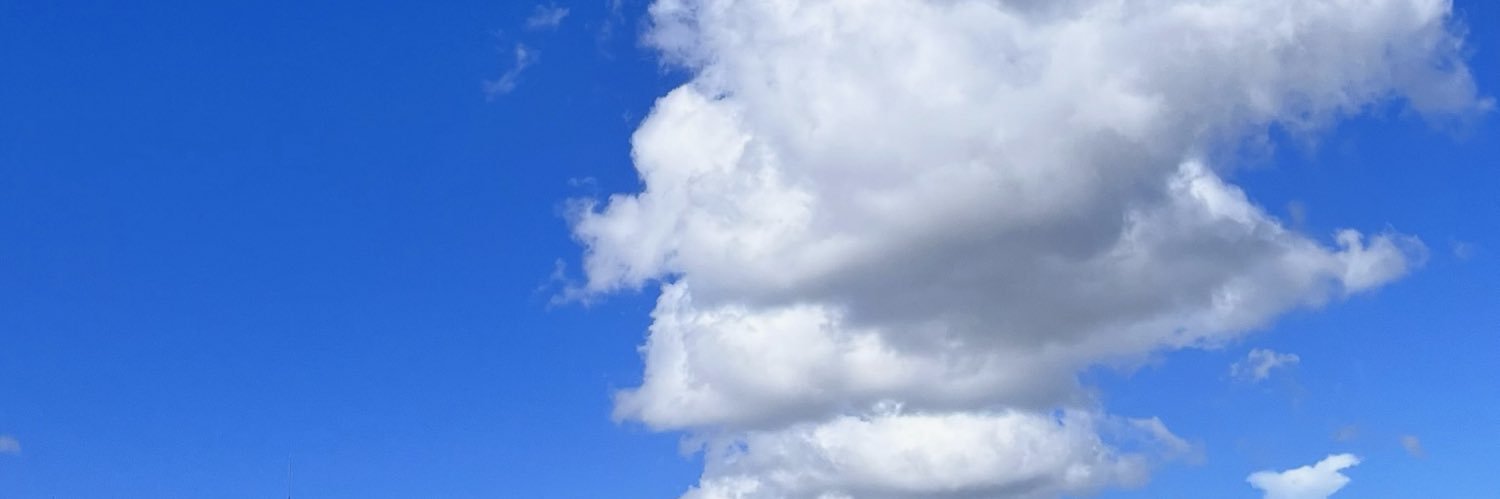 rye_ancy's profile banner image