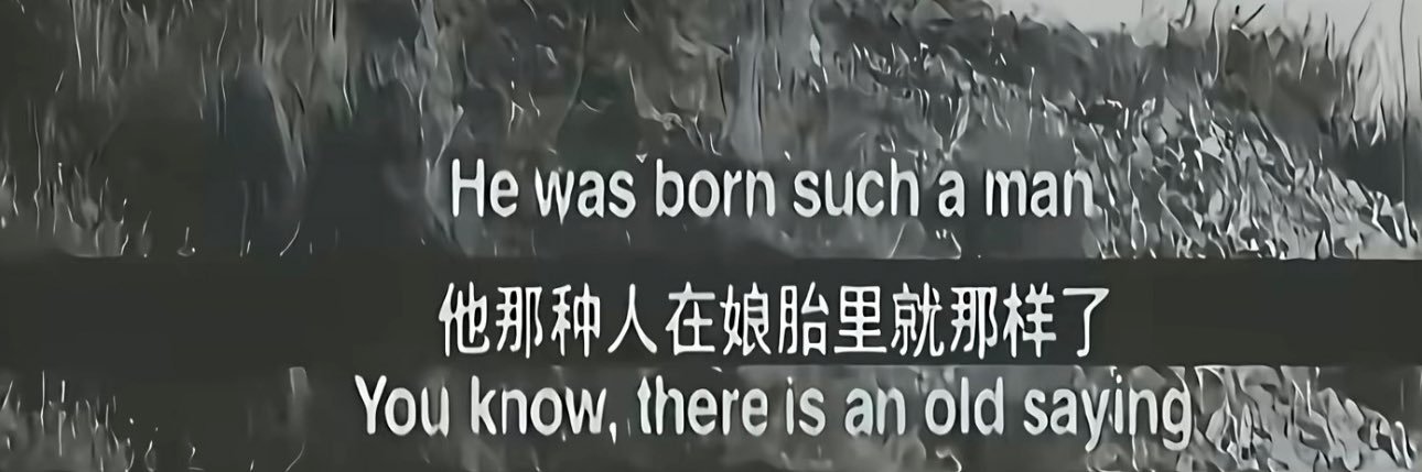 豆腐波棱盖 banner