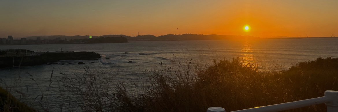 ariibl_'s profile banner image