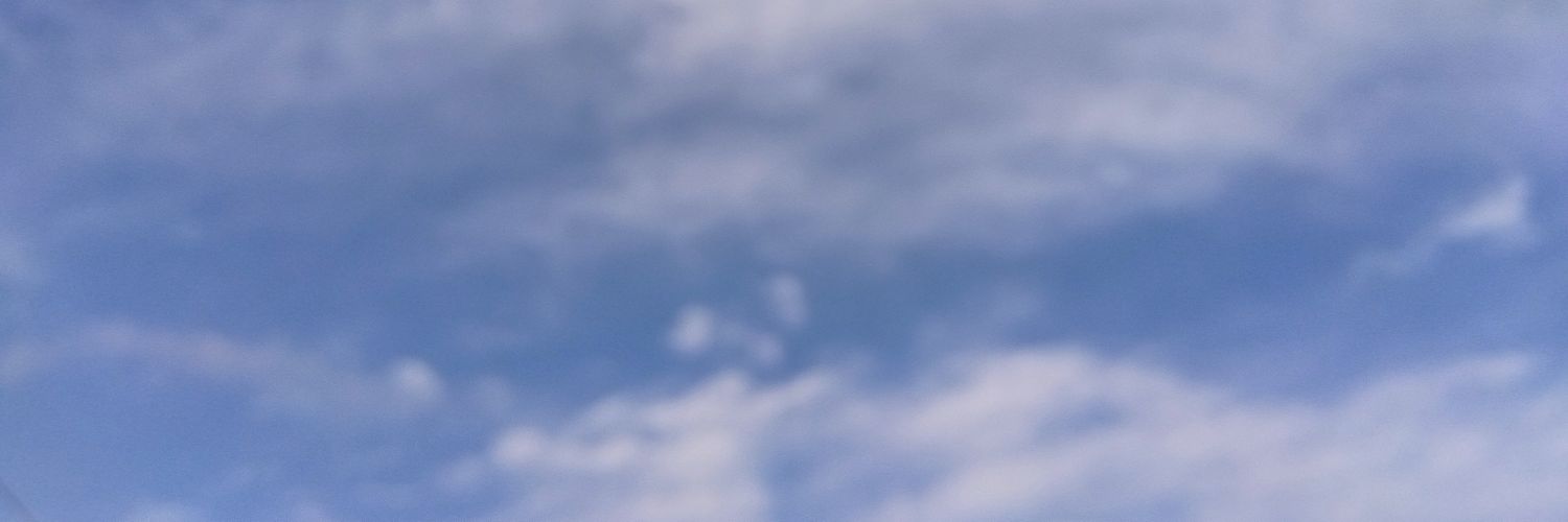 21_nuts's profile banner image