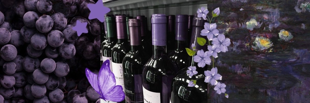 hollanderspazzi's profile banner image