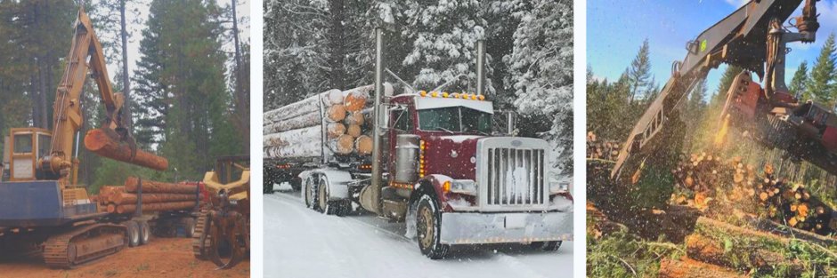 Associated CA Loggers banner