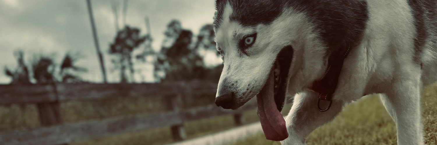 Yeaitsme_Ghost's profile banner image