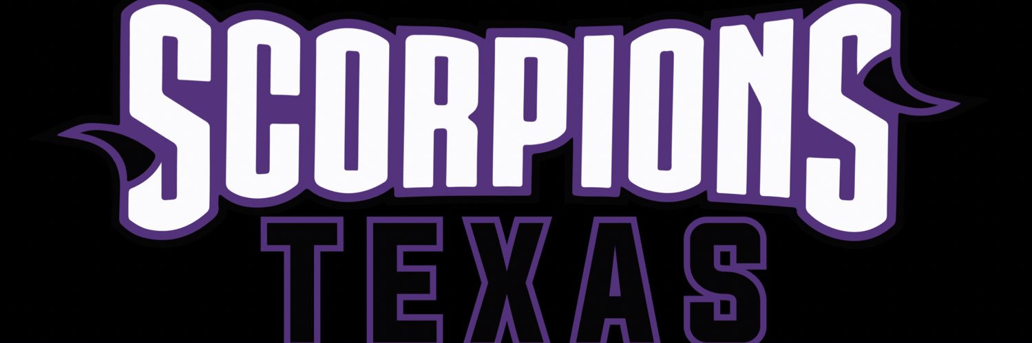SCORPIONS TEXAS banner
