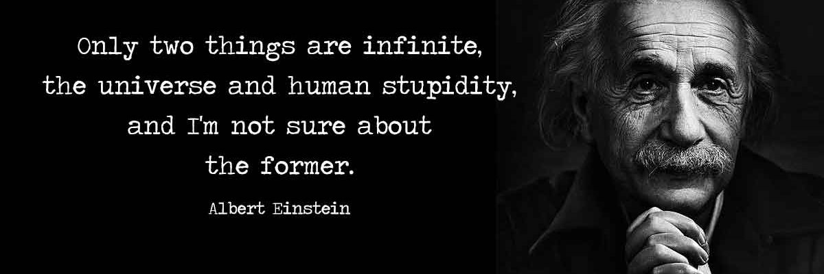 What Have We Done? banner