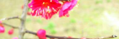 supuringuman's profile banner image