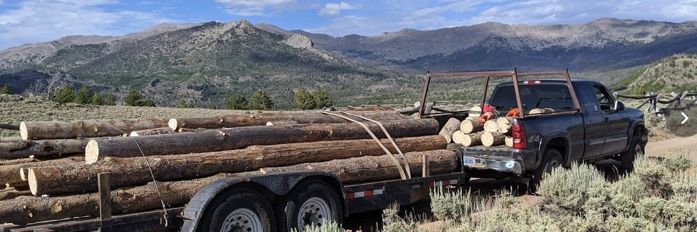 realJimRoscoe's profile banner image