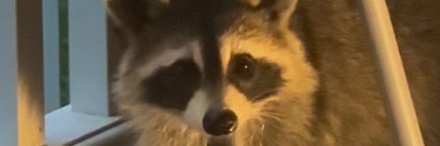 Thestarktruth's banner