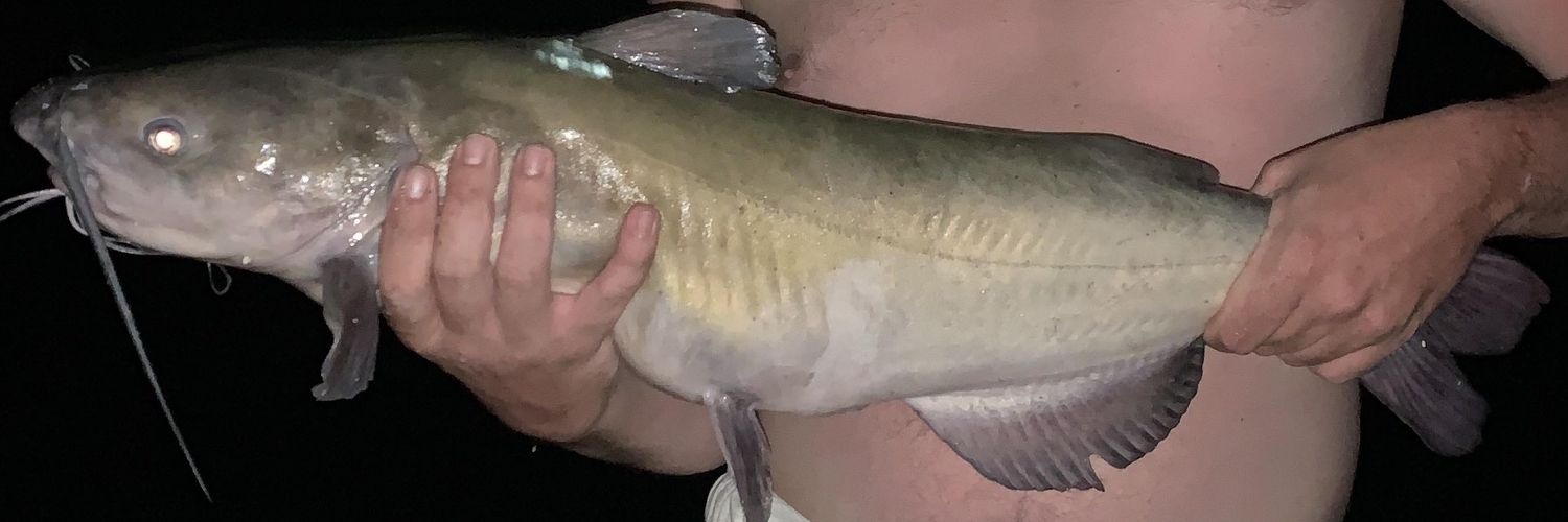 AustinCMaxwell's profile banner image
