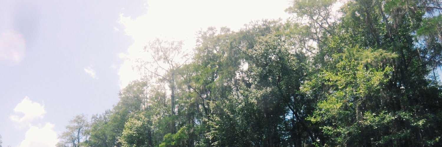 _karinnass's profile banner image