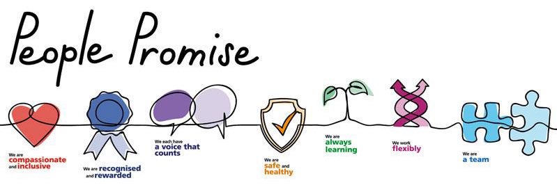 Stephanie Cuthill banner