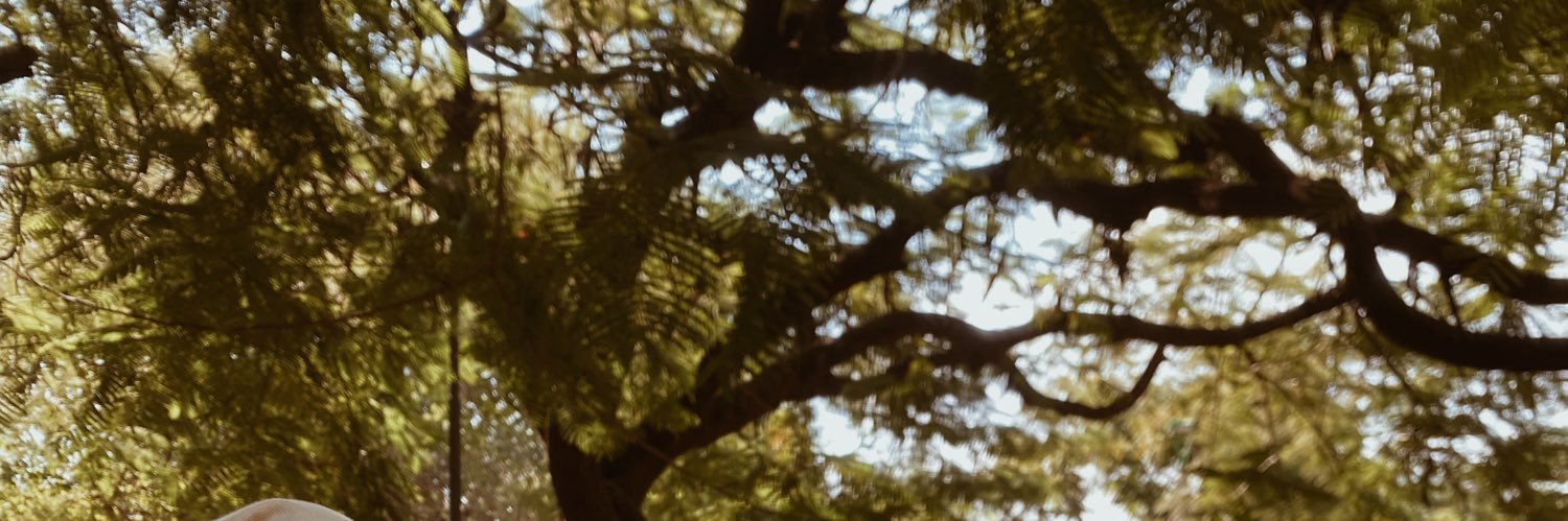 almabalmaceda_'s profile banner image