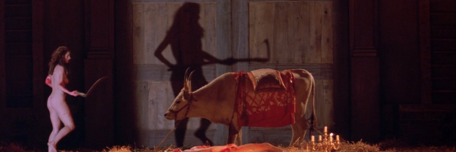 Micio's banner