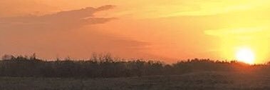 rjquist's profile banner image