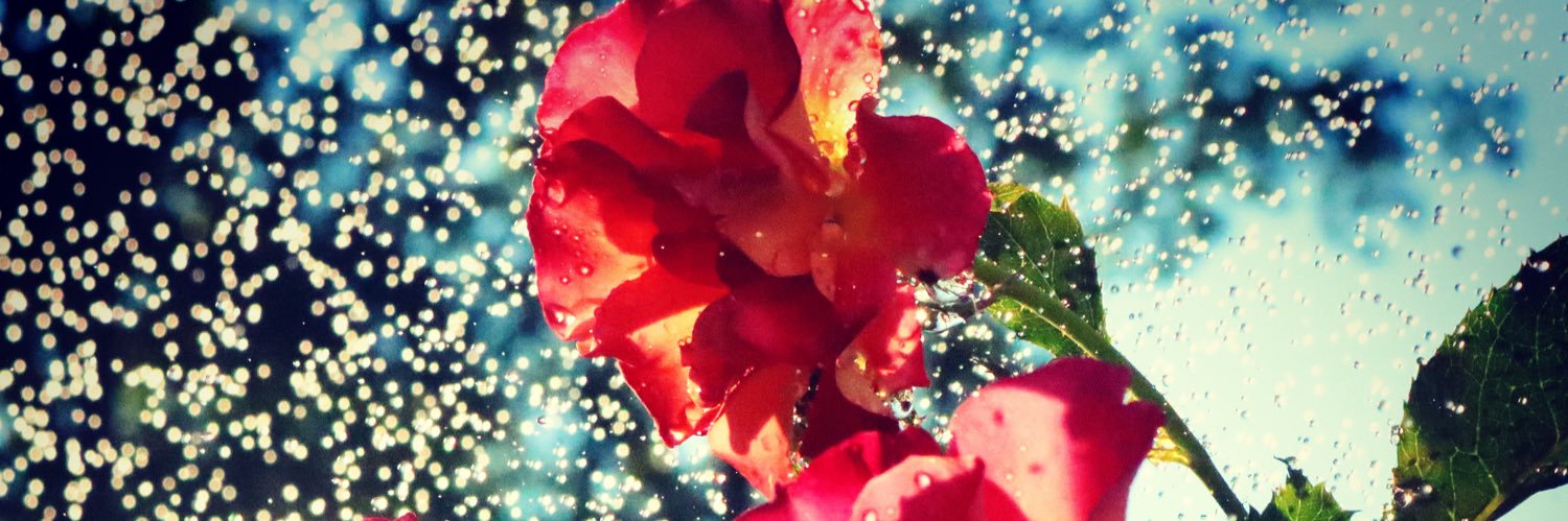 Kristina Marie banner