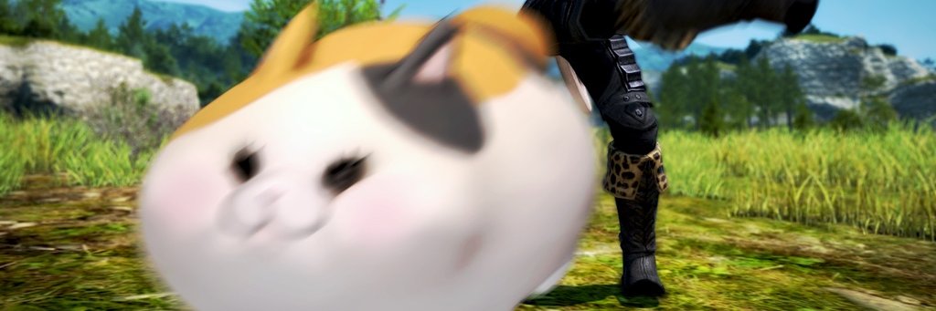 RayRayGoesMeow banner