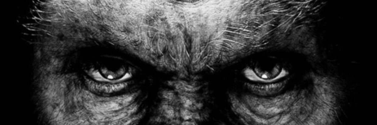 drdrummerd's profile banner image