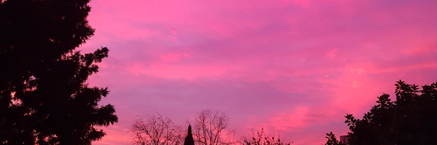 caaami_98's profile banner image