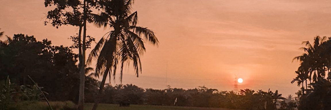 wenitania_'s profile banner image