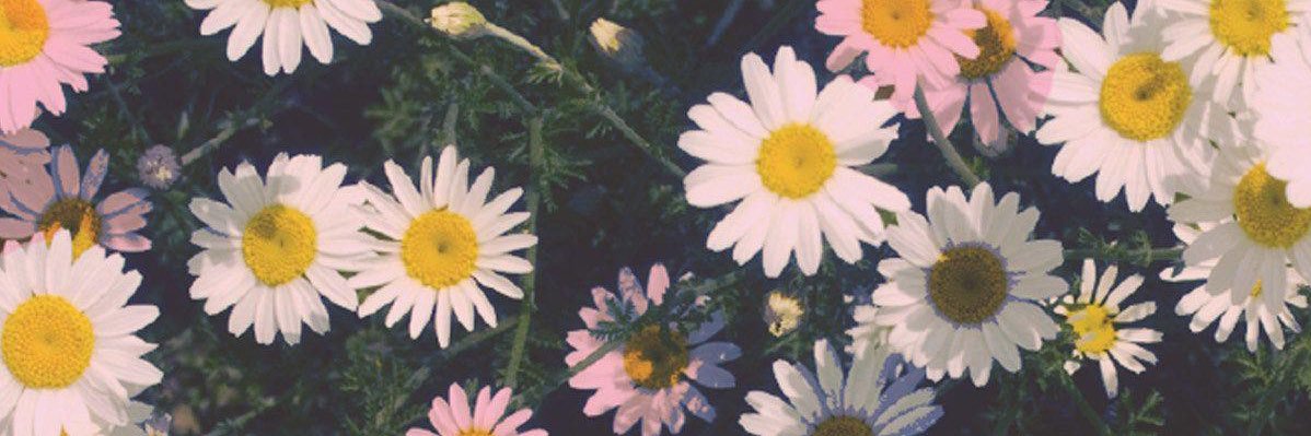 Michzb420's profile banner image