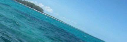 kelvin_baits's profile banner image
