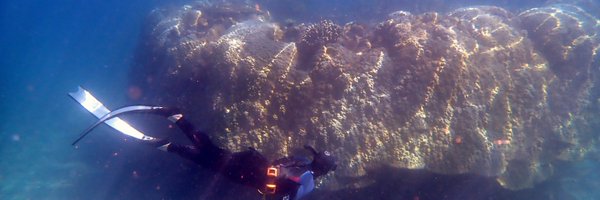 _LindseyKraemer Profile Banner