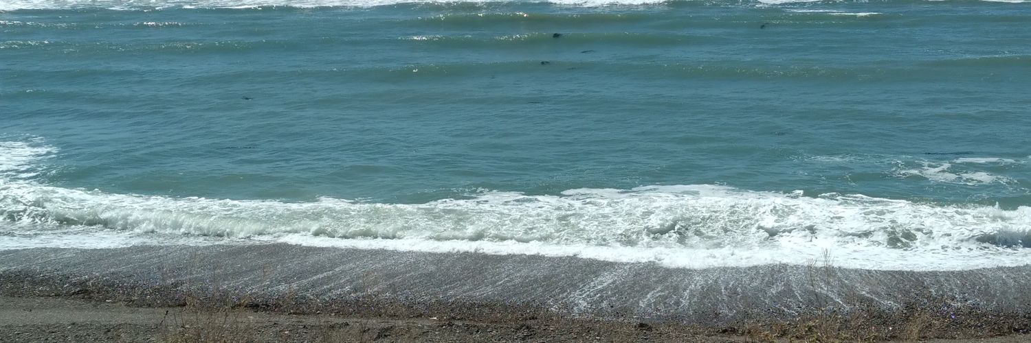 lorena_574's profile banner image