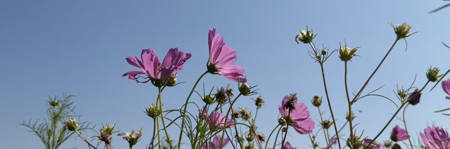 InkyGarden's profile banner image